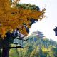 叶景山