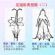 钟辐